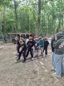 Image3-12